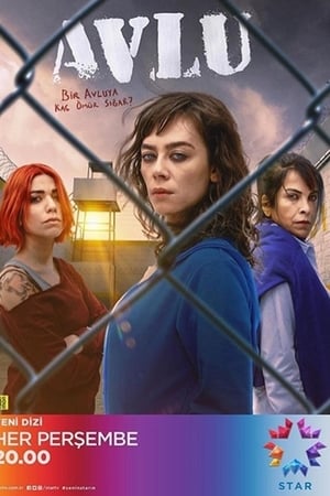 Avlu: El patio