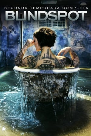 Blindspot temporada 2