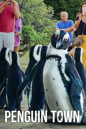 Colonia Pingüino