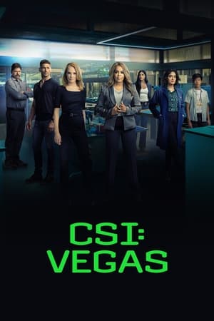CSI: Vegas temporada 2