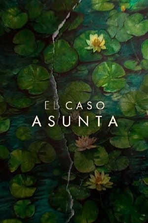 El caso Asunta temporada 1