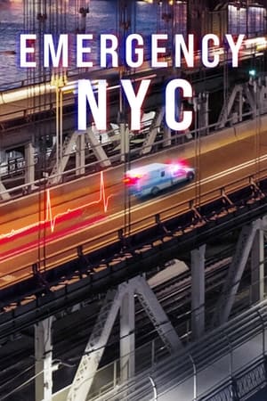 Emergencias: Nueva York temporada 1