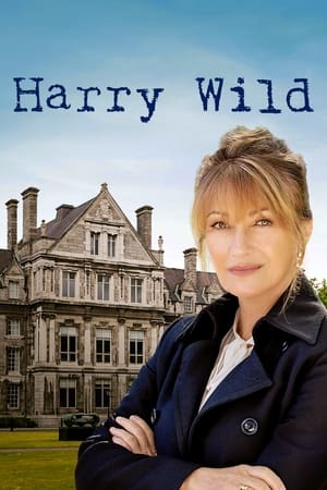 Harry Wild temporada 1