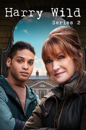 Harry Wild temporada 2
